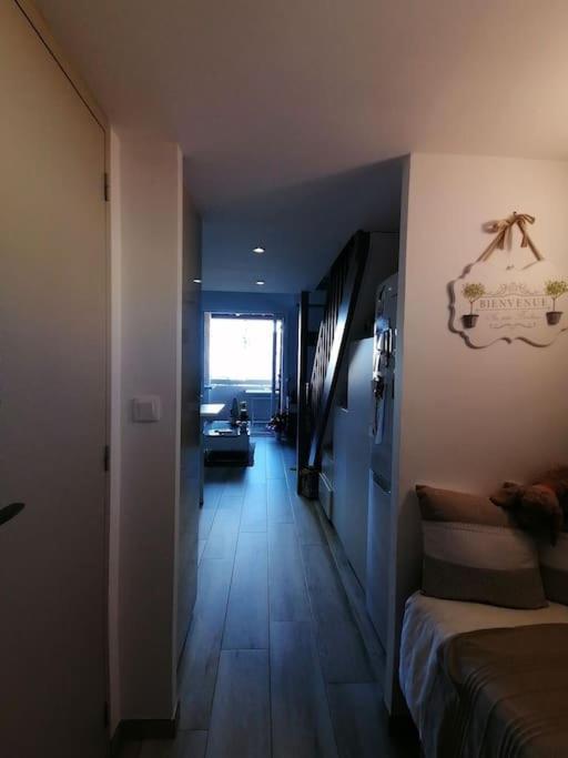 Magnifique Duplex Face A La Apartment *