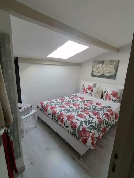 Magnifique Duplex Face A La *
